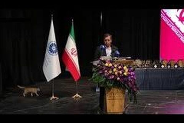 ورود یک گربه به سالن همایش هنگام سخنرانی وزیر اقتصاد/ ویدئو
