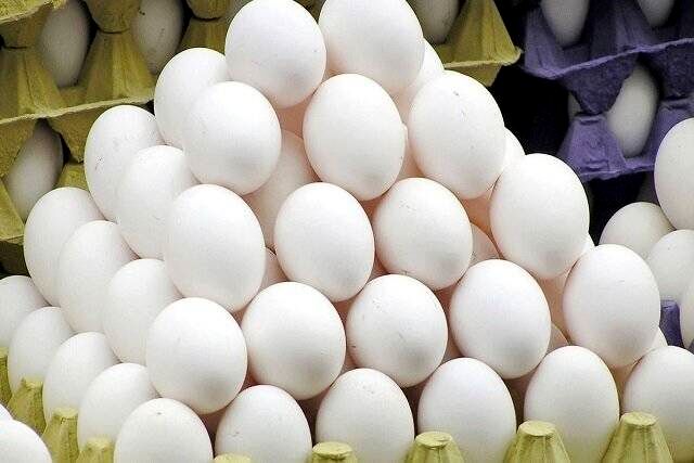 تغییر بسته‌بندی تخم‌مرغ، روش محتکران برای دور زدن نرخ مصوب!
