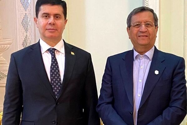 گزارش همتی از رشد روابط اقتصادی ایران و تاجیکستان
