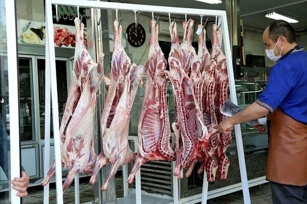مناظره بر سر قیمت گوشت به پرتاب خودکار کشیده شد/ ویدئو
