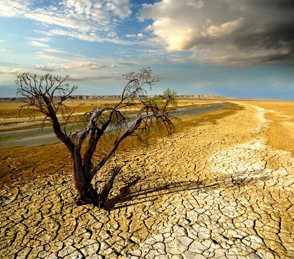 تابستان آینده مشکل جدی کم آبی خواهیم داشت