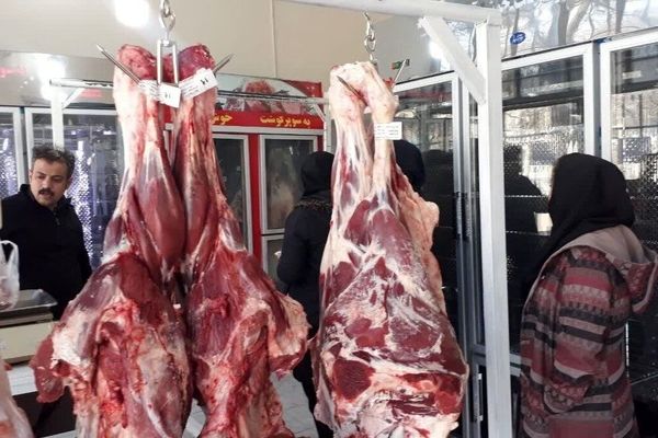 بازگشت گوشت تنظیم بازار گوسفندی و گوساله