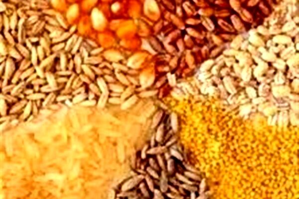 موافقت نمایندگان با تحقیق و تفحص از وزارت کشاورزی