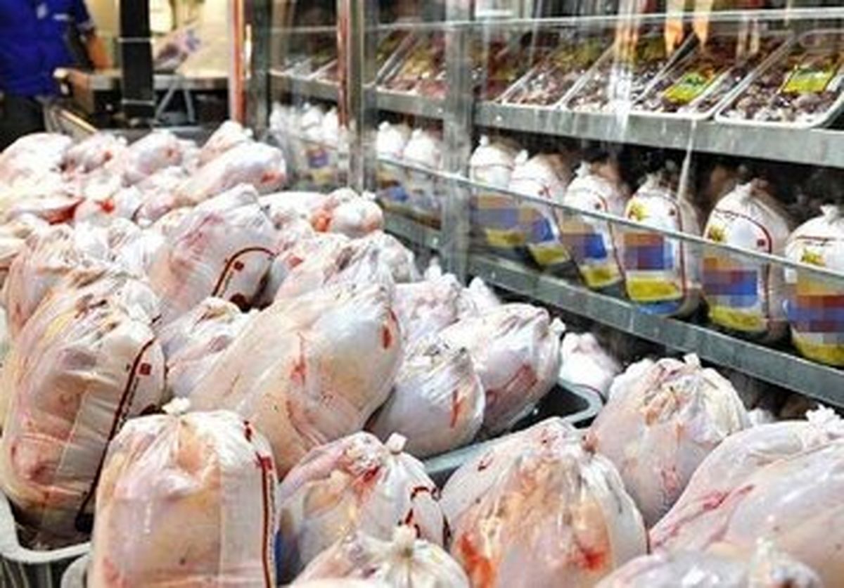 مرغ در ماراتن گرانی/ قیمت هر کیلو مرغ چند شد؟

