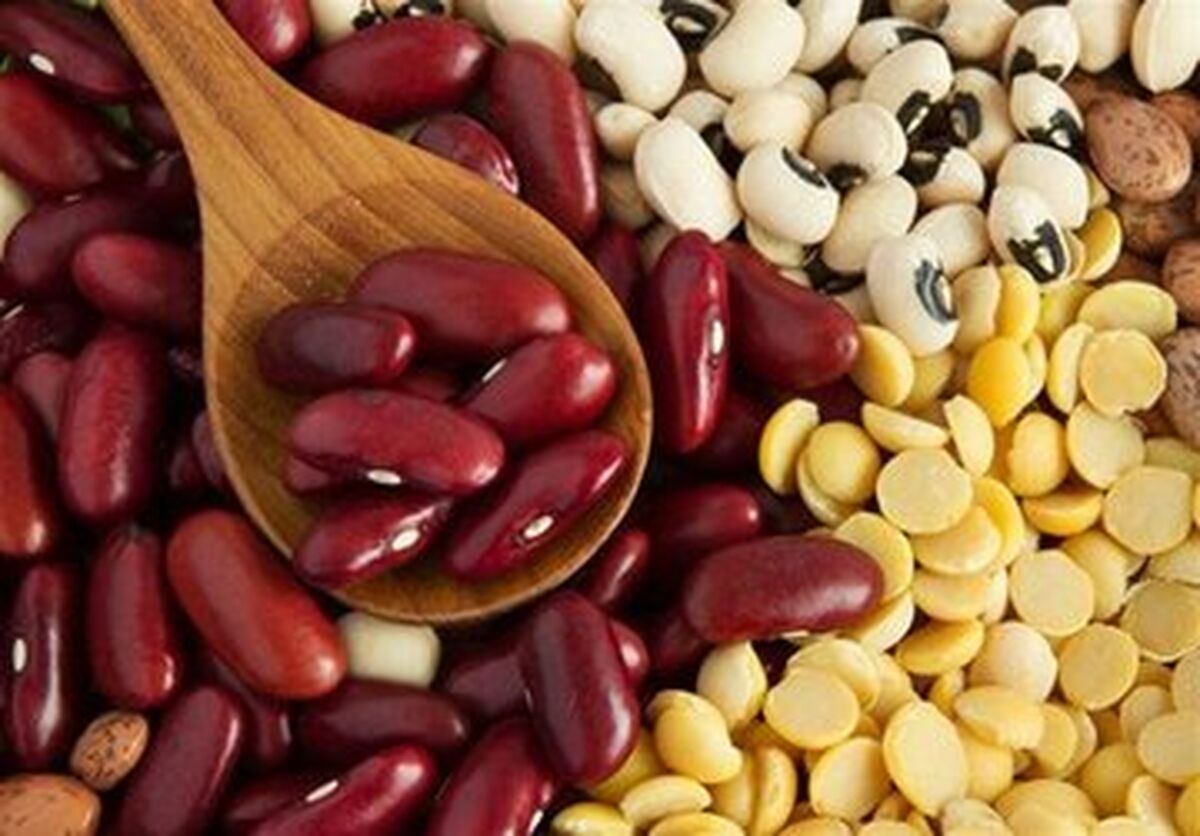 حبوبات هم لاکچری شد؛ قیمت لوبیا به ۵۰۰ هزار تومان رسید