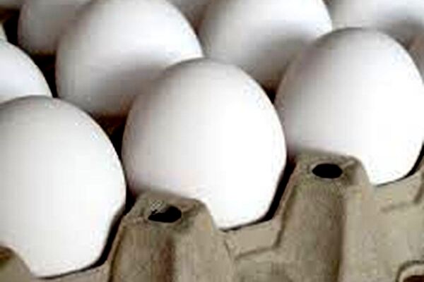 یک عدد تخم مرغ چند؟