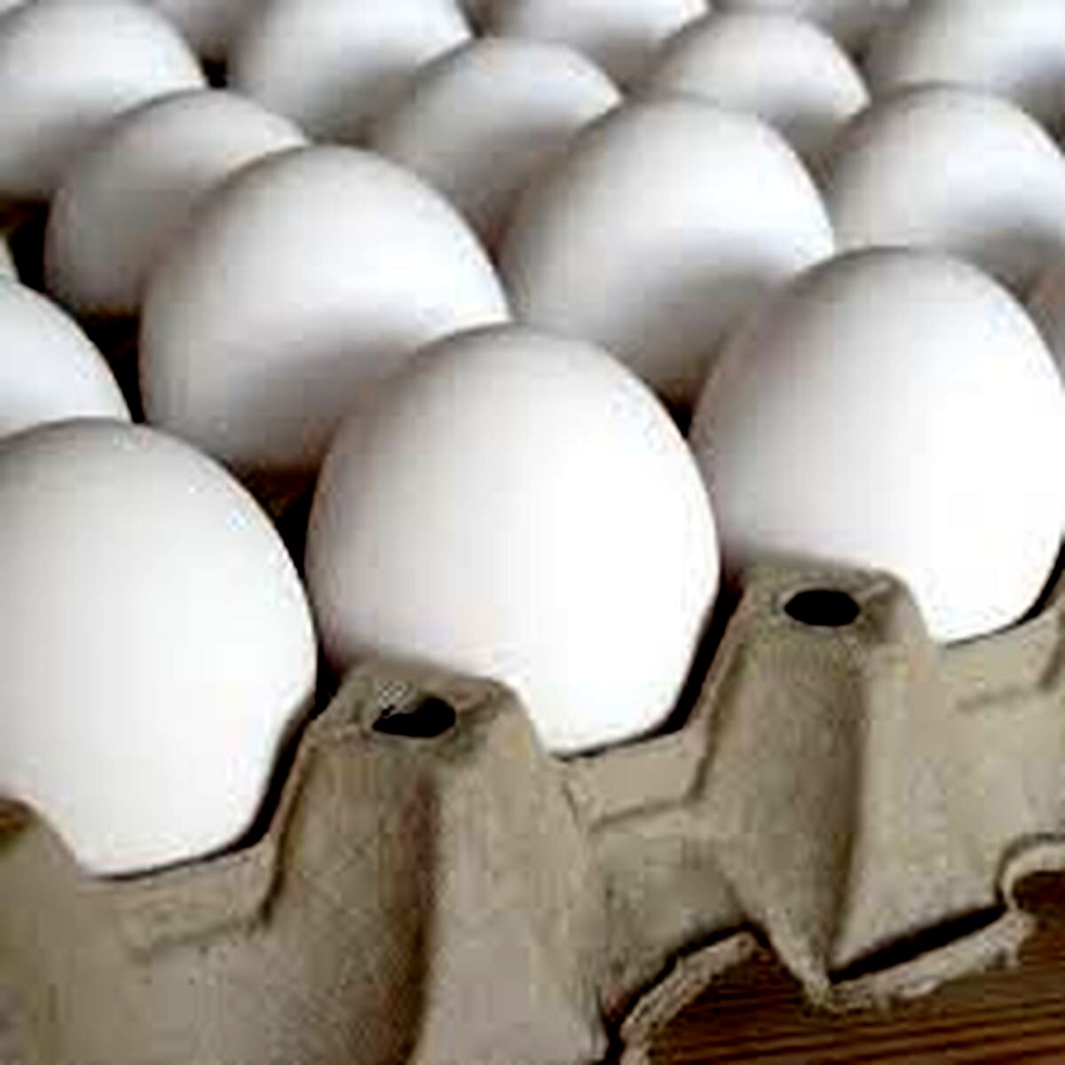 یک عدد تخم مرغ چند؟