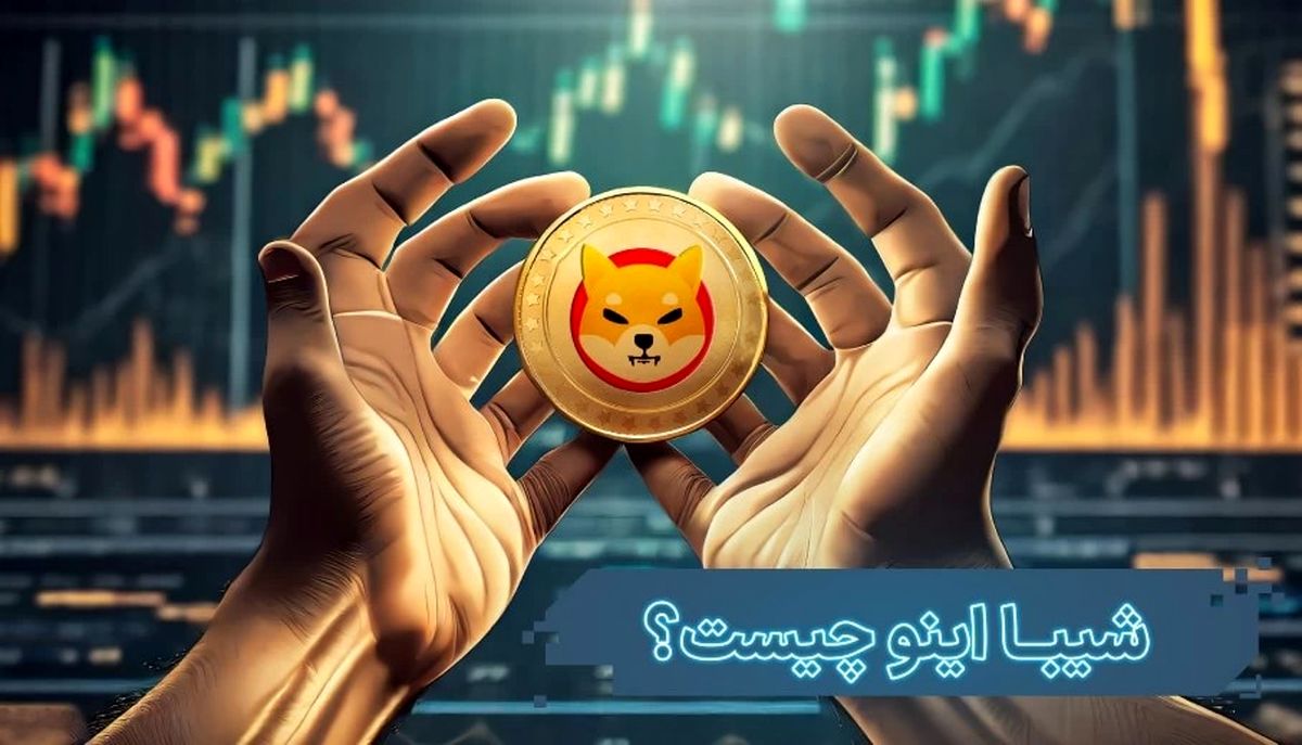 شیبا اینو چیست و چه کاربردی دارد؟